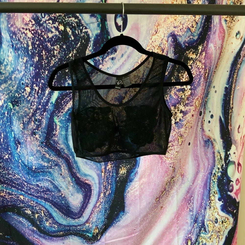 Windsor lace mesh crop top